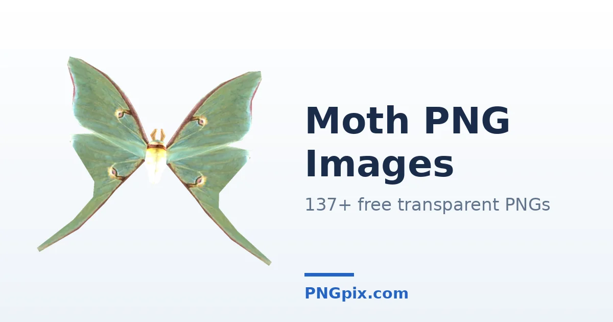 Moth PNG images