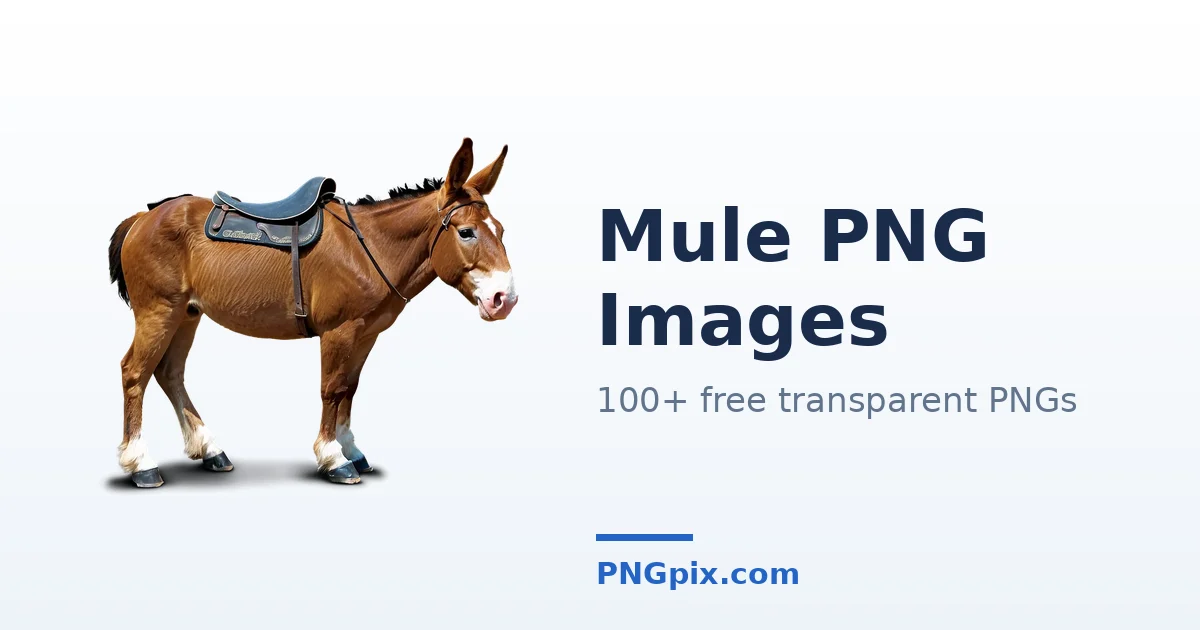 Mule PNG images