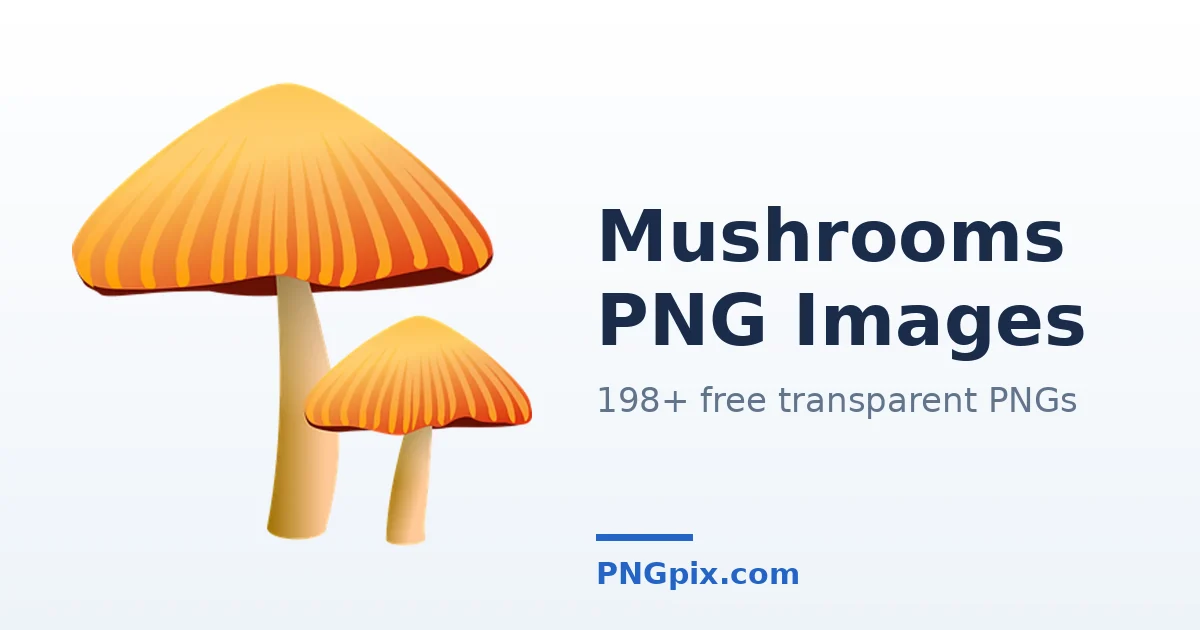 Mushrooms PNG images