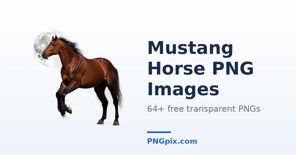 Mustang Horse PNG images