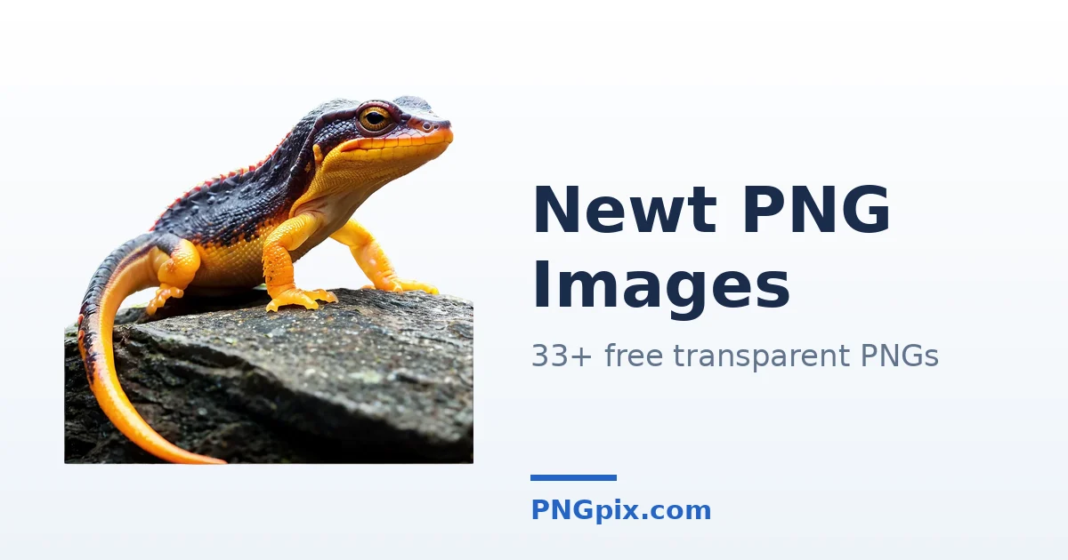 Newt PNG images