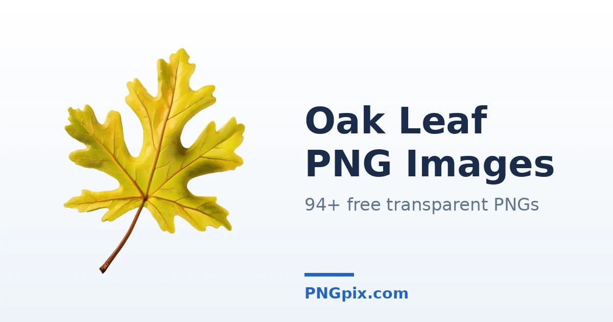 Oak Leaf PNG images