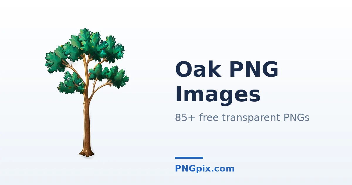 Oak PNG images