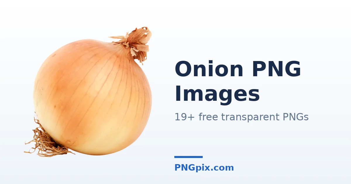 Onion PNG images