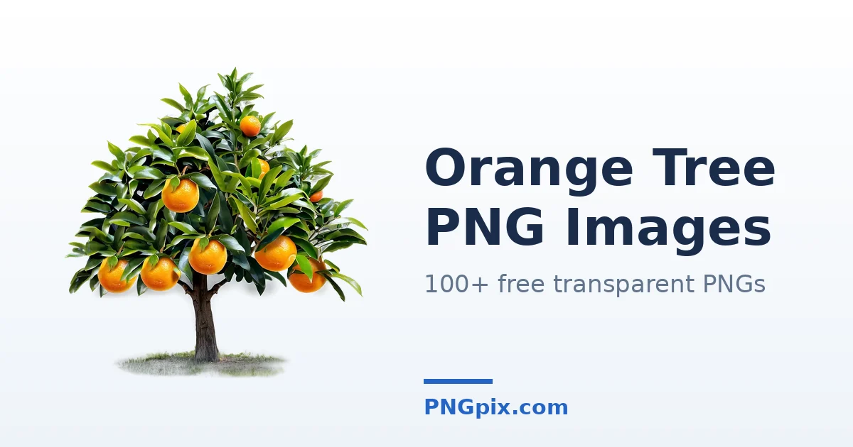 Orange Tree PNG images