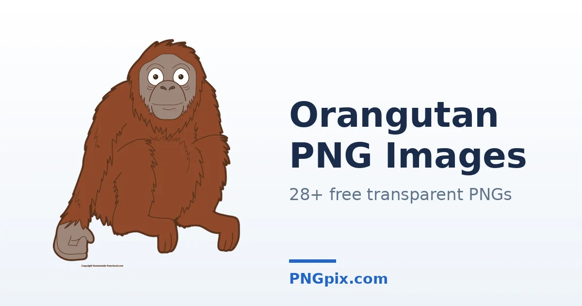 Orangutan PNG images