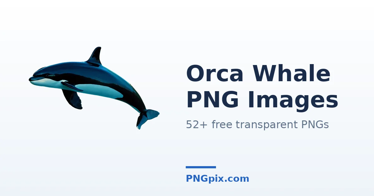 Orca Whale PNG images