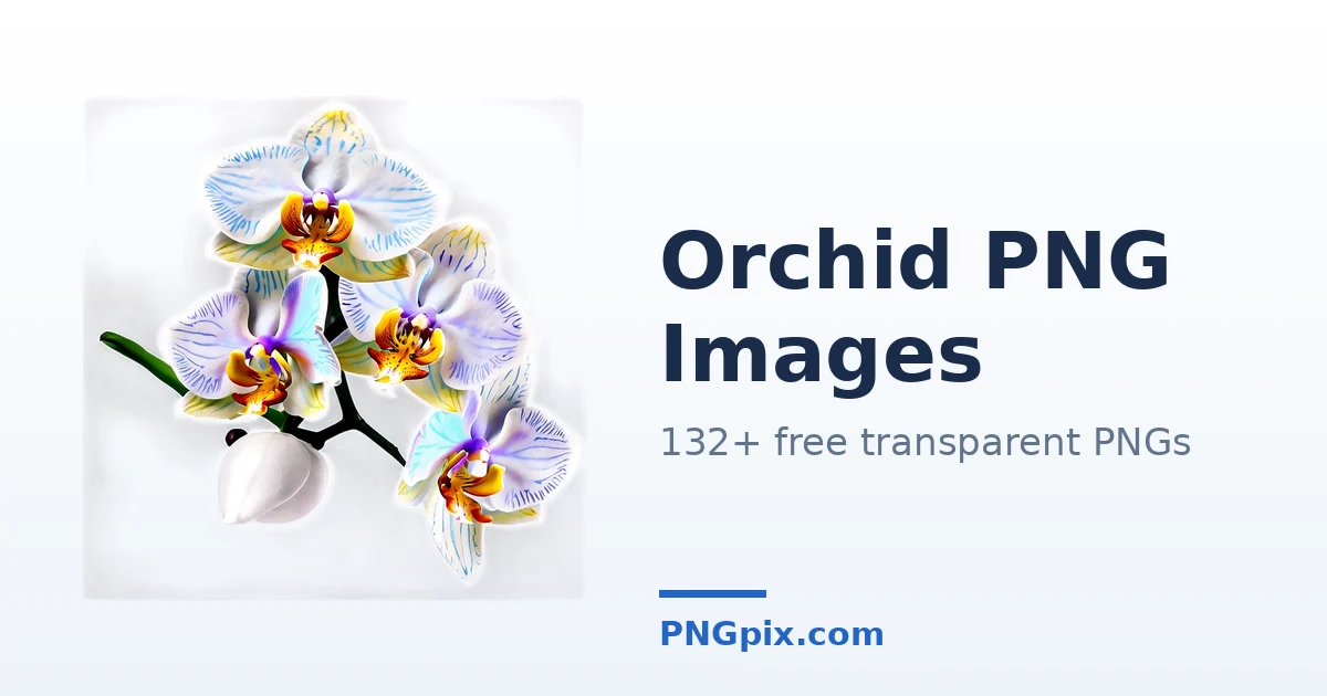Orchid PNG images