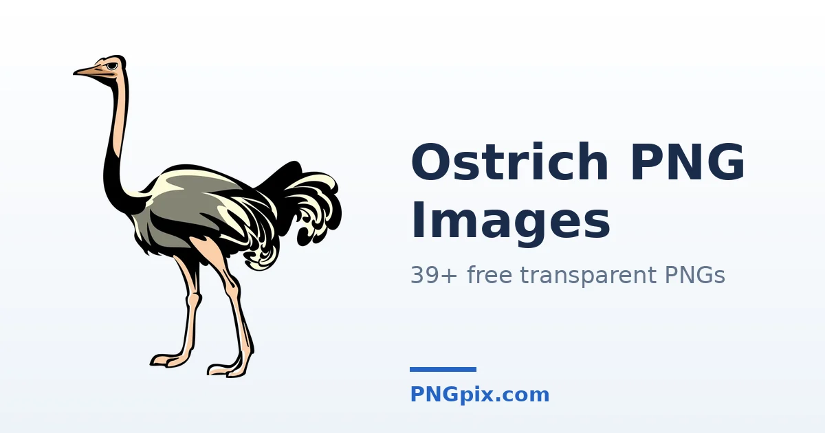 Ostrich PNG images