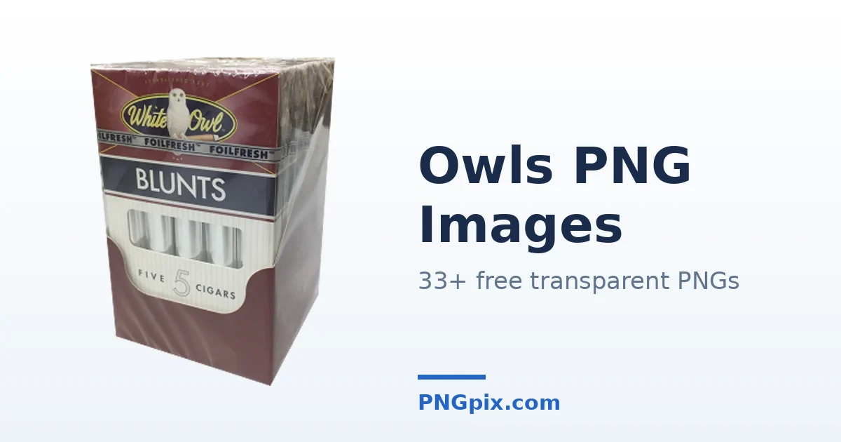 Owls PNG images