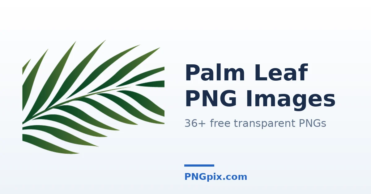 Palm Leaf PNG images