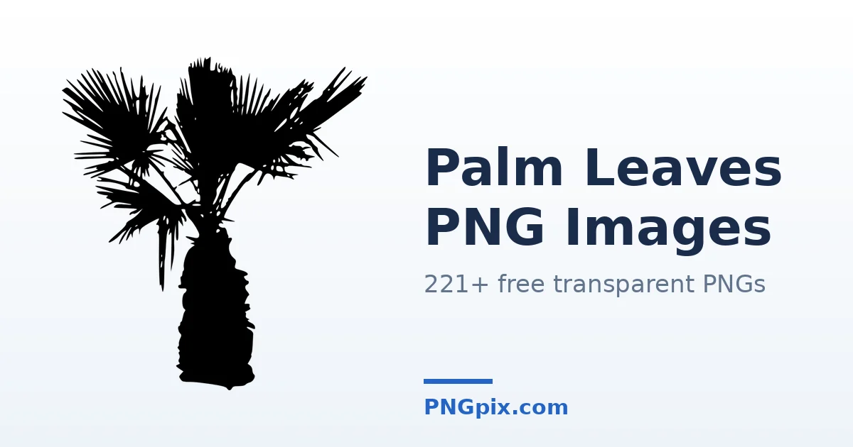 Palm Leaves PNG images