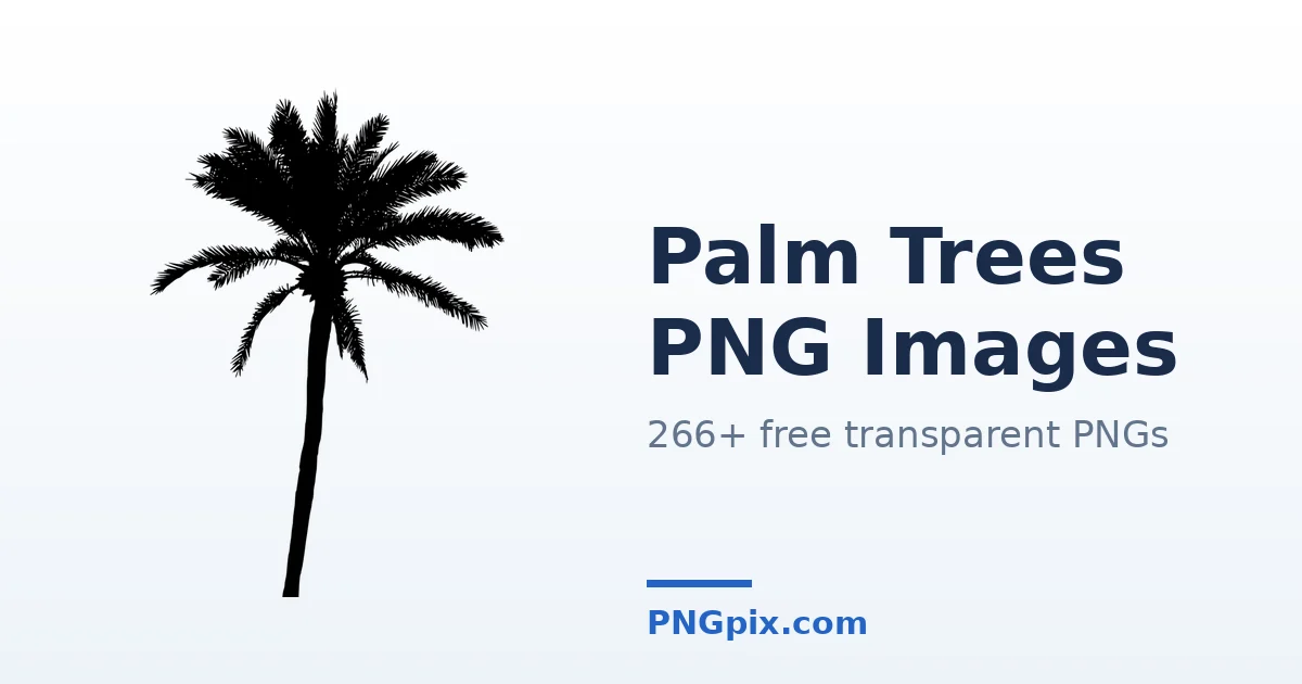 Palm Trees PNG images