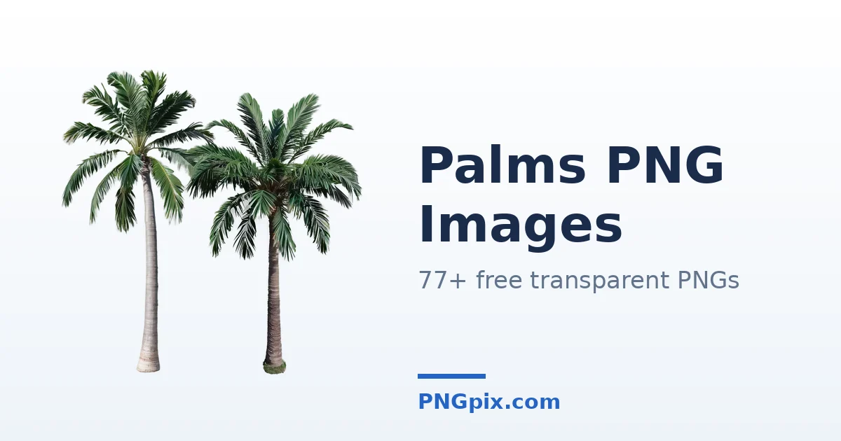 Palms PNG images