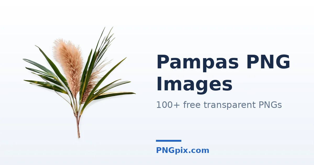 Pampas PNG images