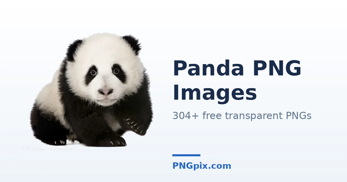 Panda PNG images