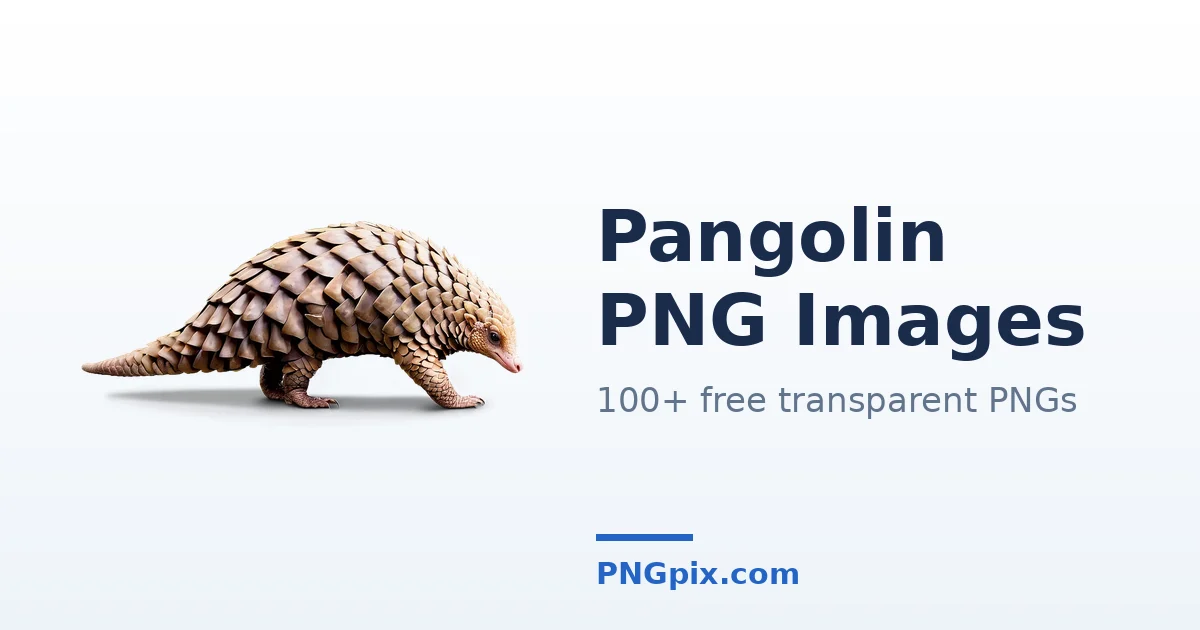 Pangolin PNG images
