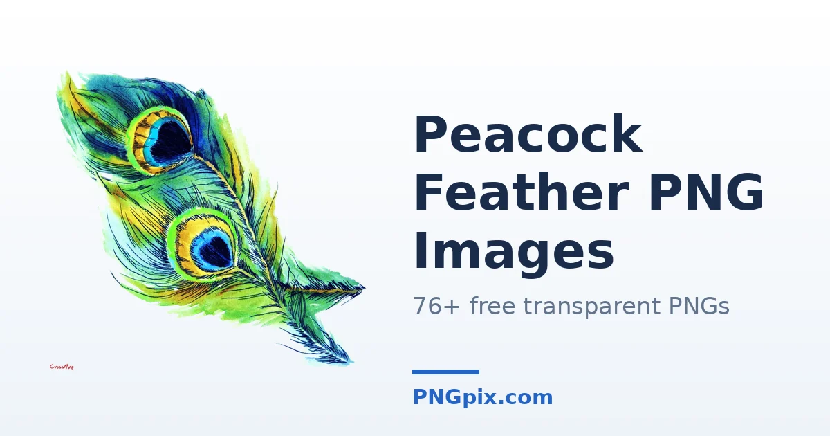 Peacock Feather PNG images