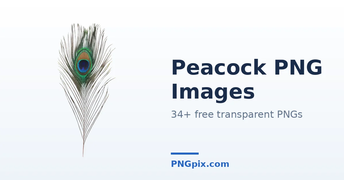 Peacock PNG images