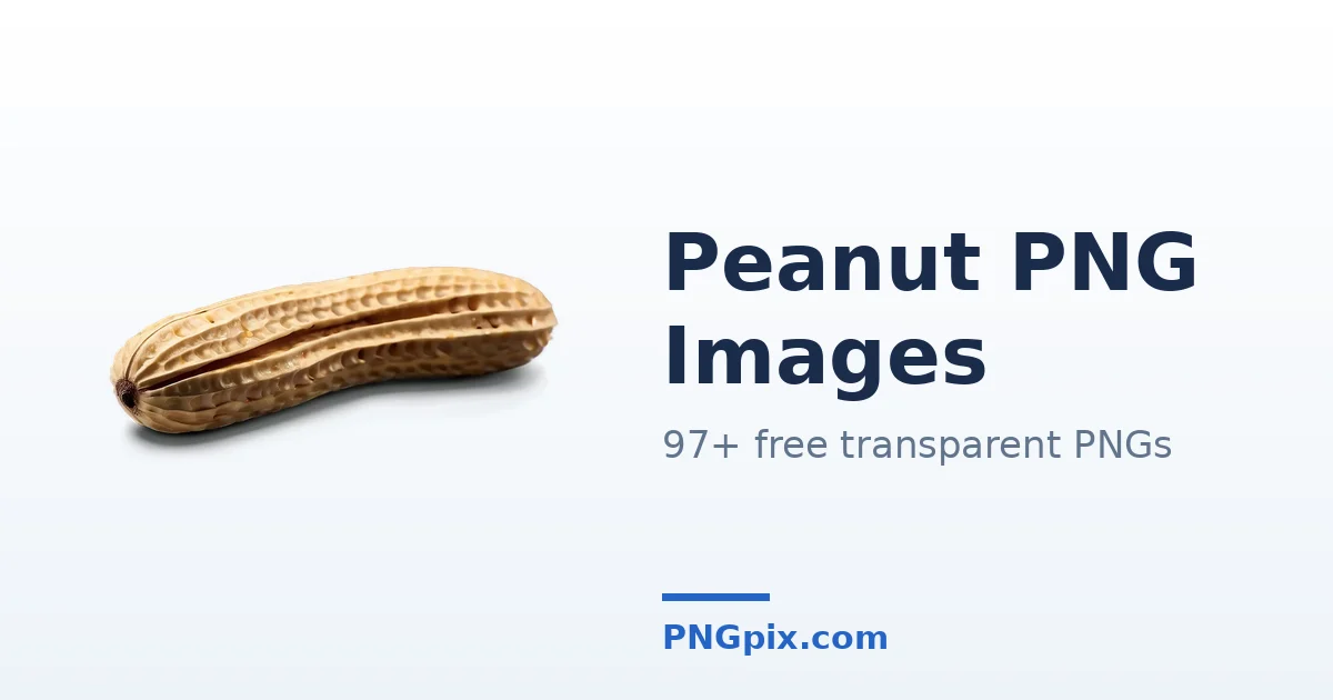 Peanut PNG images