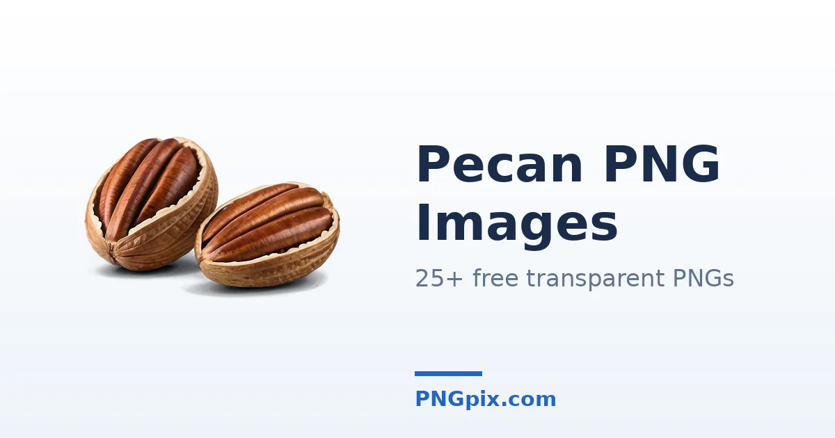 Pecan PNG images