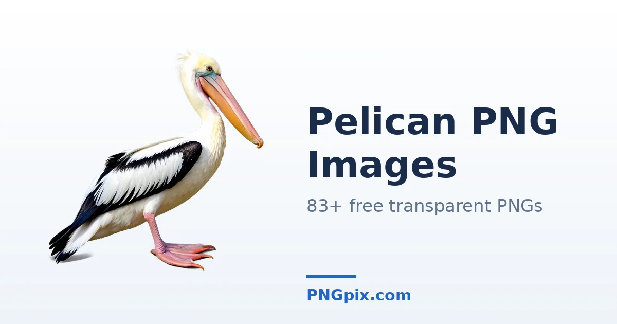 Pelican PNG images