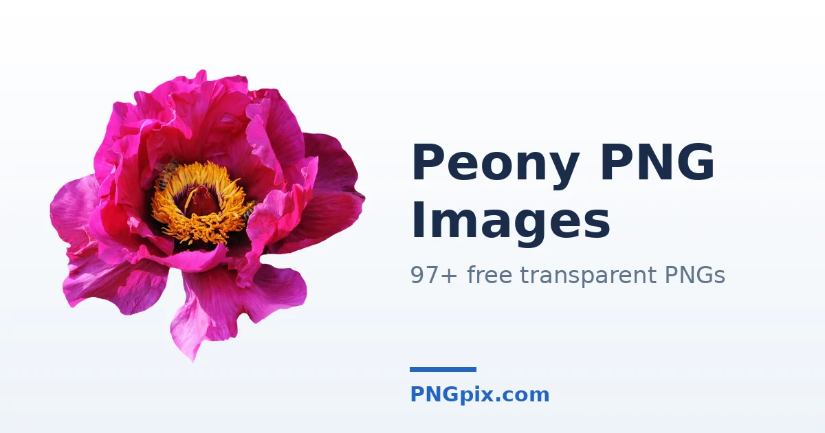 Peony PNG images