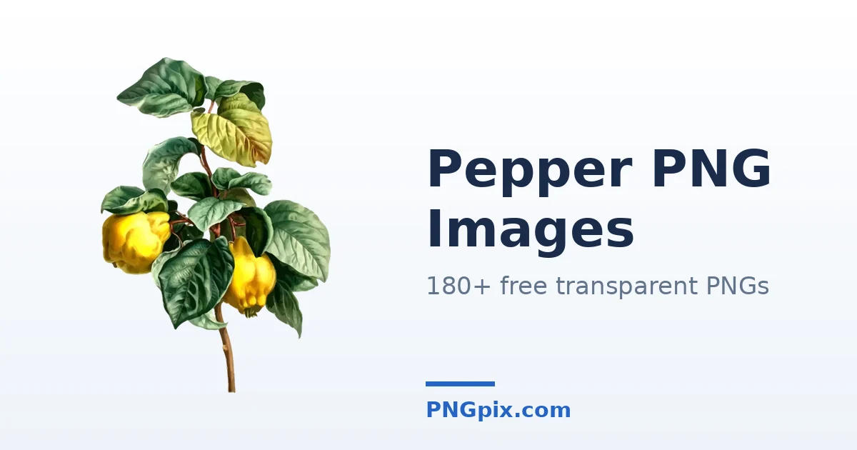 Pepper PNG images