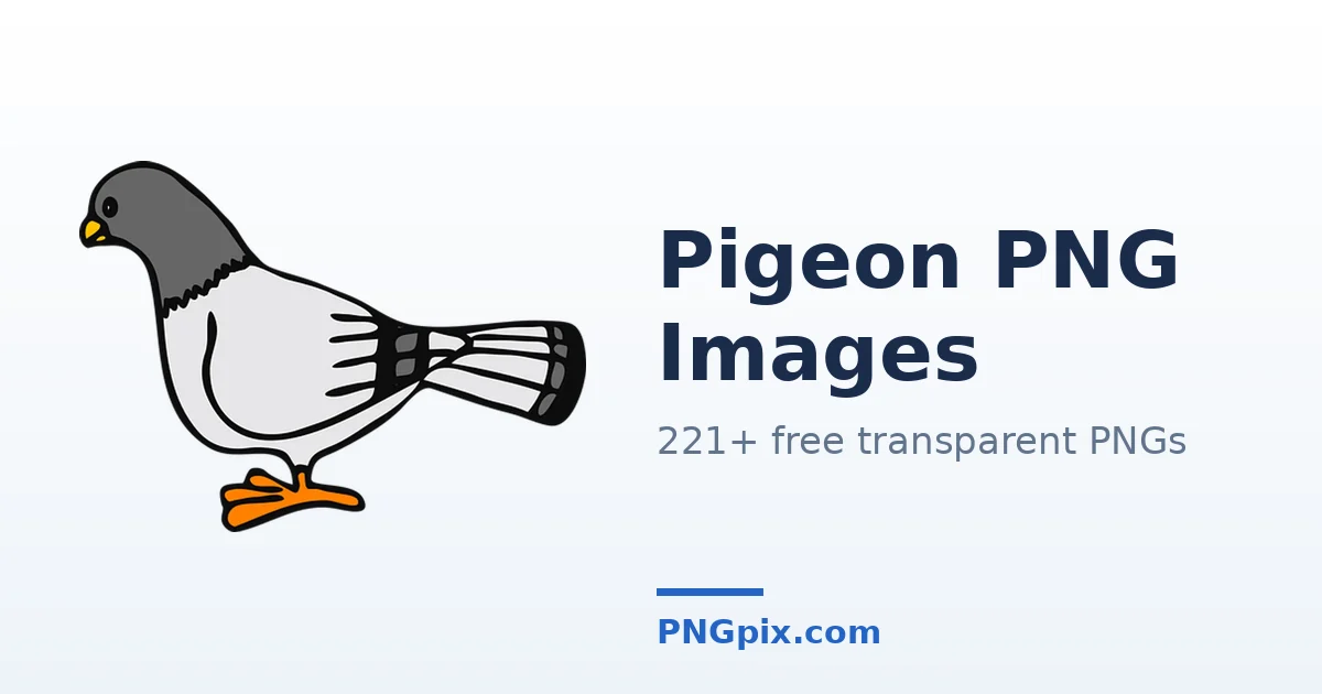 Pigeon PNG images