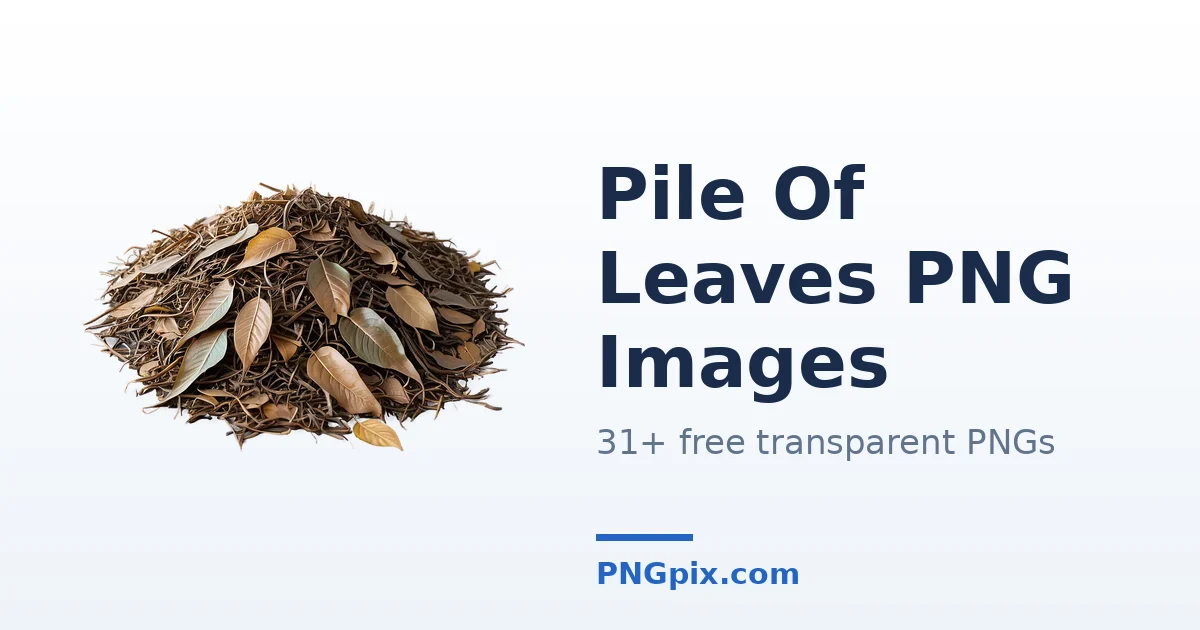 Pile Of Leaves PNG images