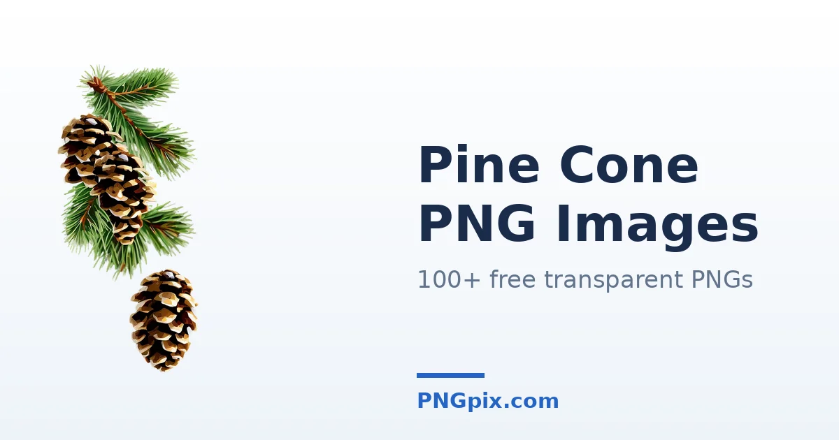 Pine Cone PNG images