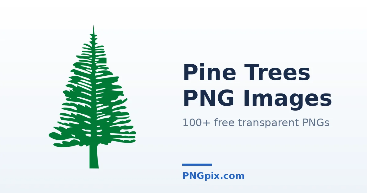Pine Trees PNG images