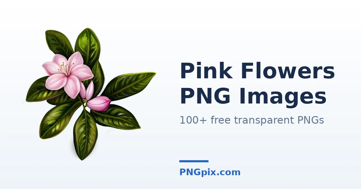 Pink Flowers PNG images