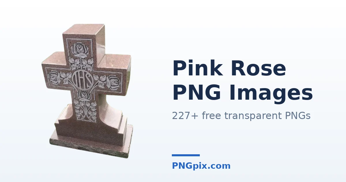 Pink Rose PNG images