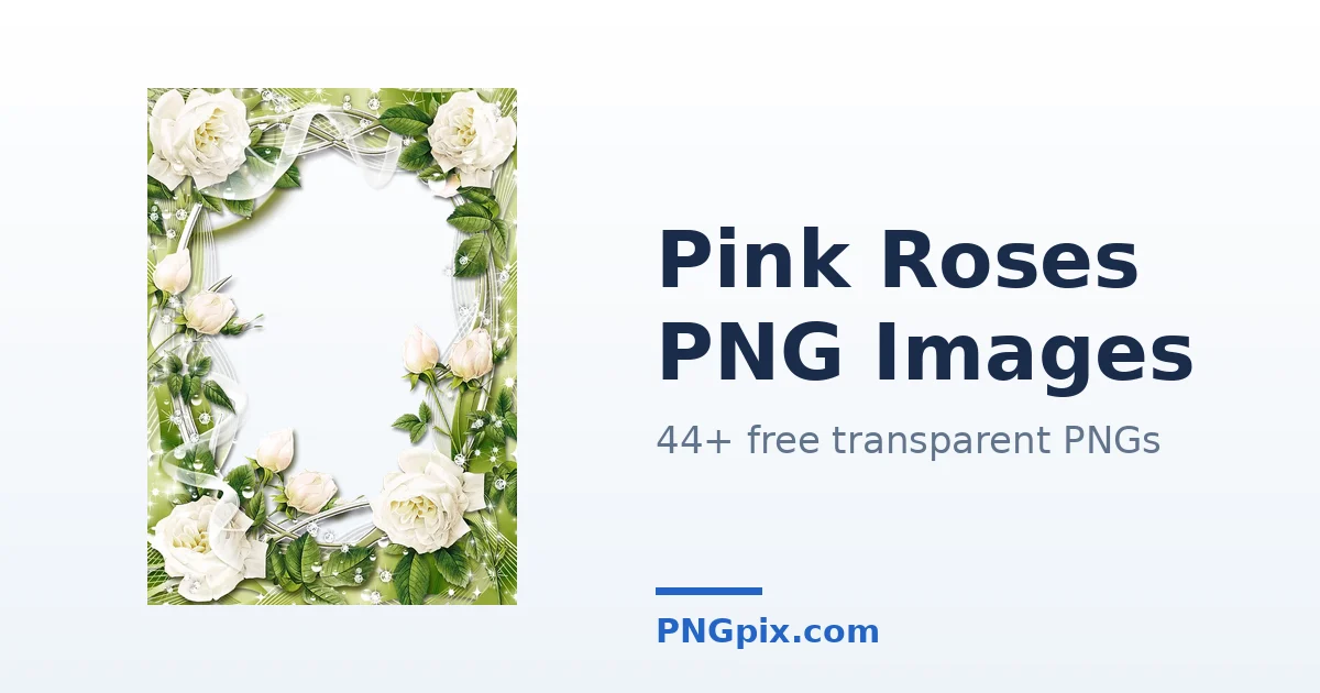 Pink Roses PNG images