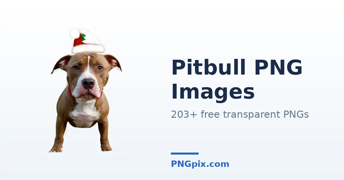 Pitbull PNG images