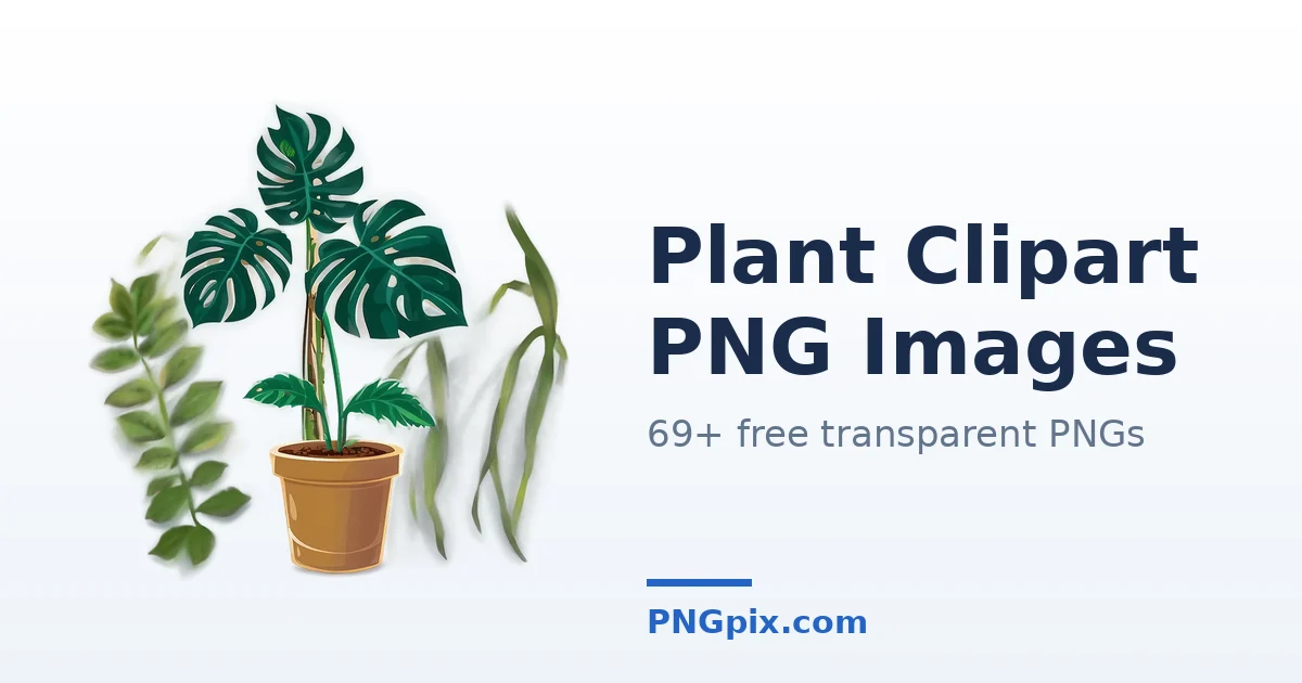 Plant Clipart PNG images