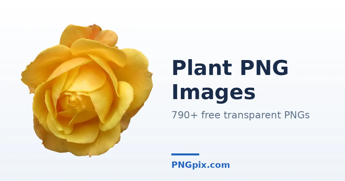 Plant PNG images