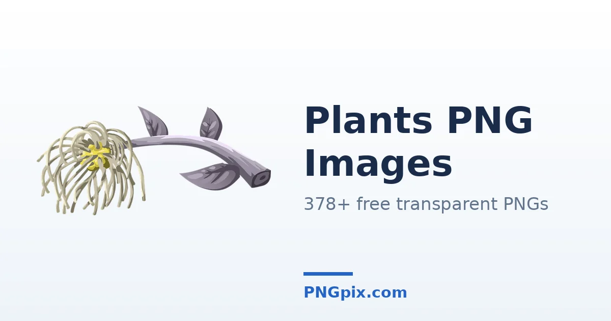 Plants PNG images