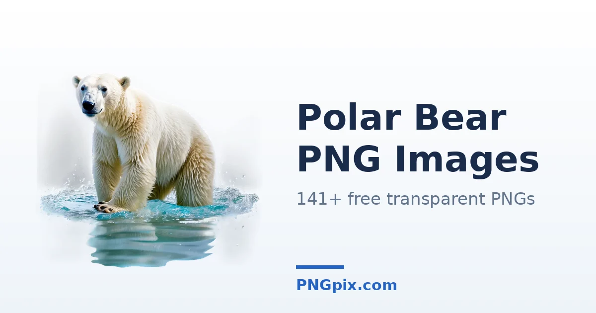 Polar Bear PNG images