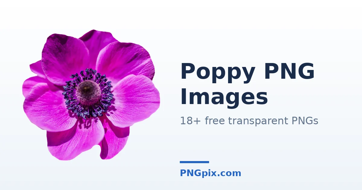 Poppy PNG images