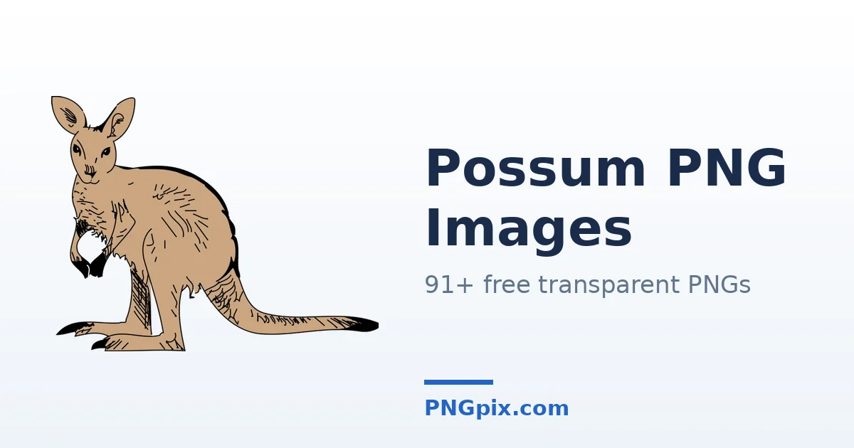 Possum PNG images