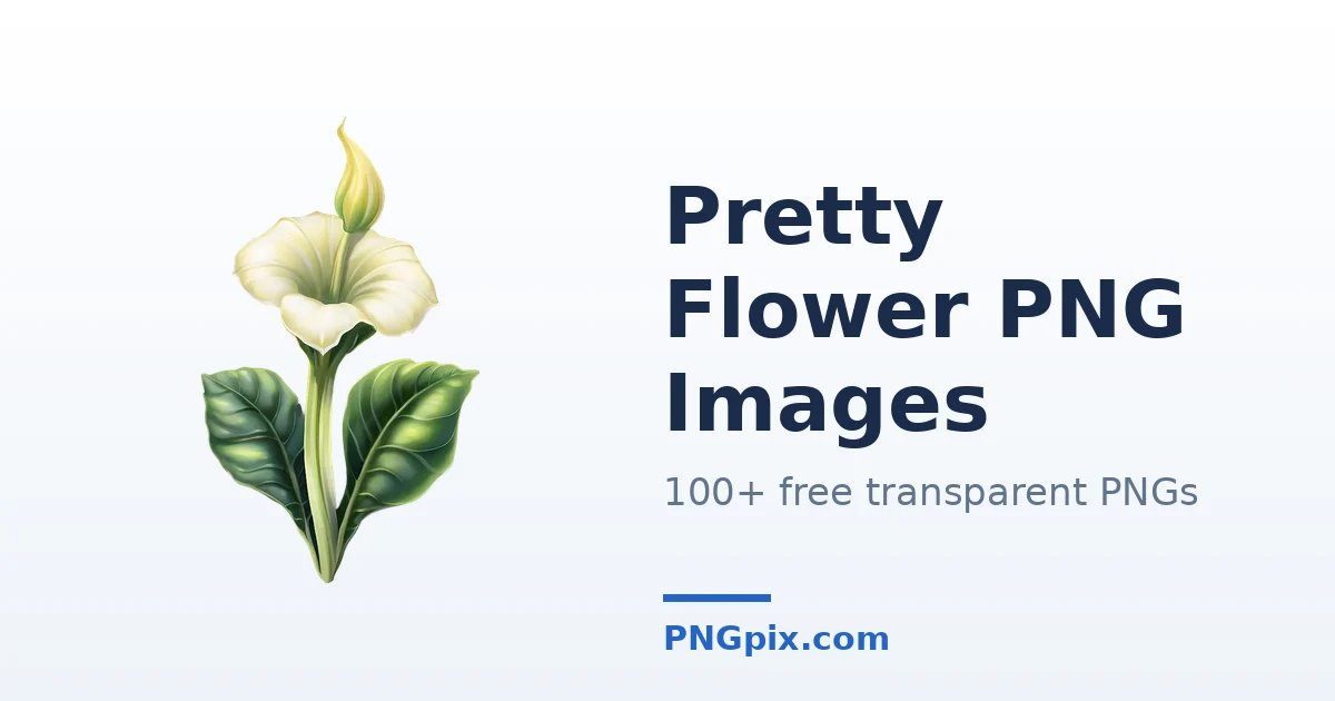 Pretty Flower PNG images