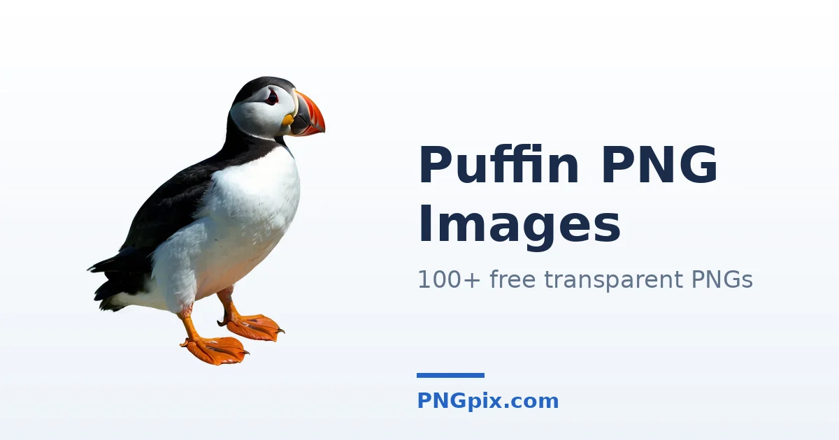 Puffin PNG images