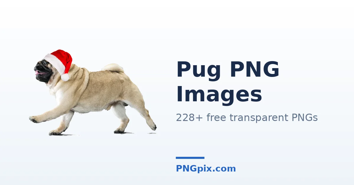Pug PNG images