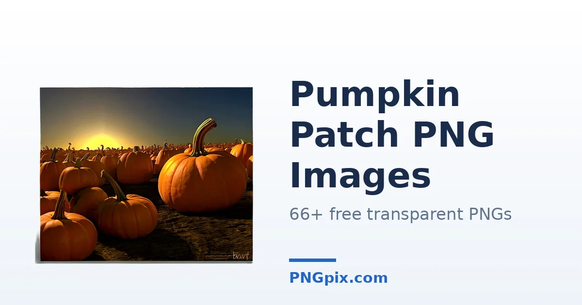 Pumpkin Patch PNG images