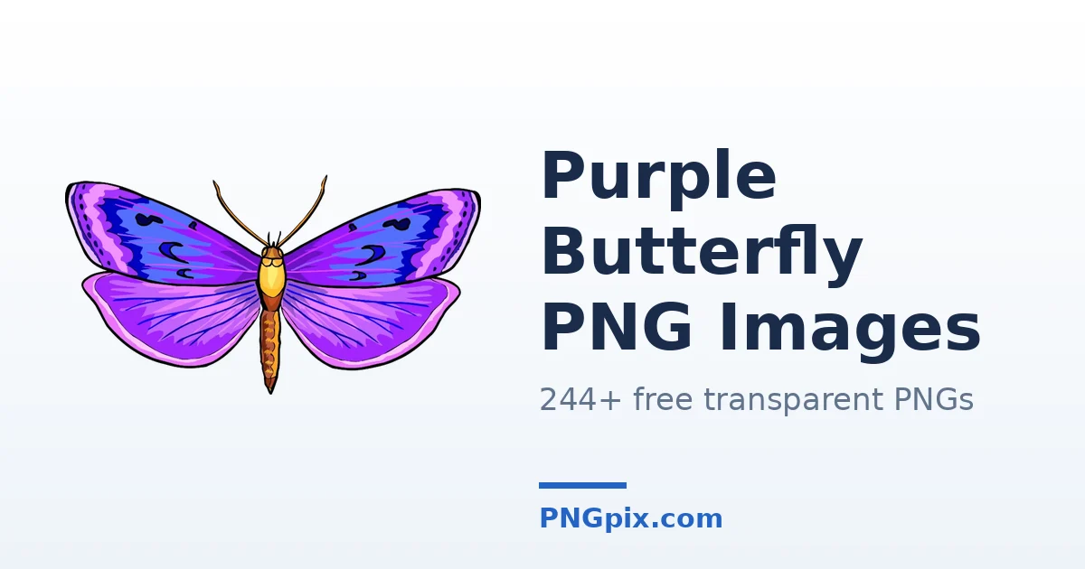 Purple Butterfly PNG images