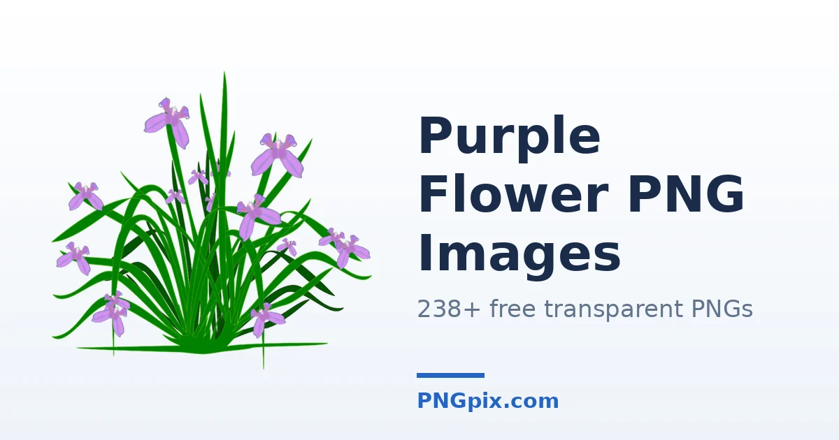 Purple Flower PNG images