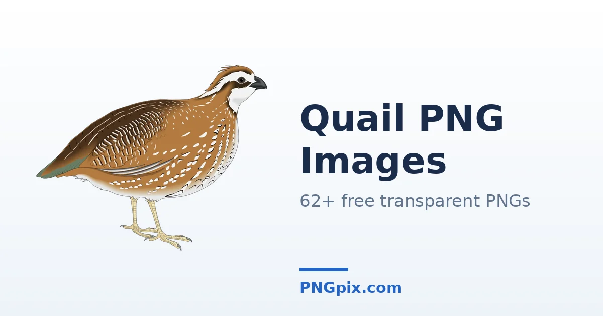 Quail PNG images