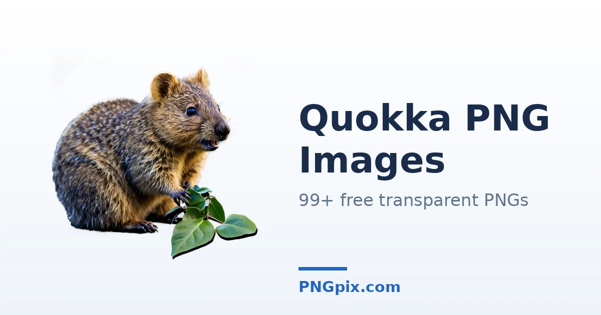 Quokka PNG images